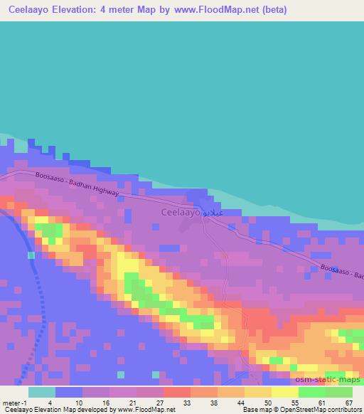 Ceelaayo,Somalia Elevation Map