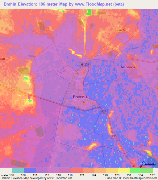 Brahin,Belarus Elevation Map