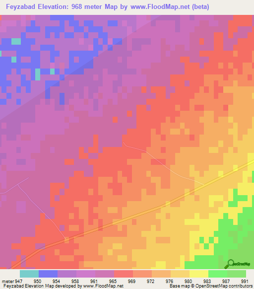 Feyzabad,Iran Elevation Map