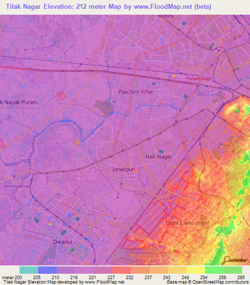 Tilak Nagar,India Elevation Map