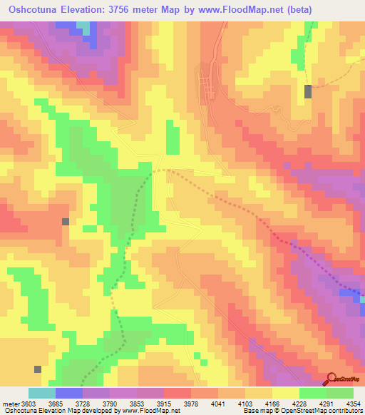 Oshcotuna,Peru Elevation Map