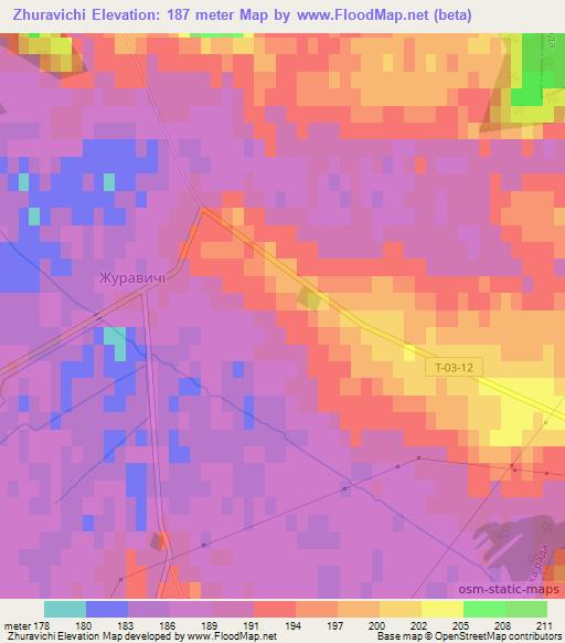 Zhuravichi,Ukraine Elevation Map