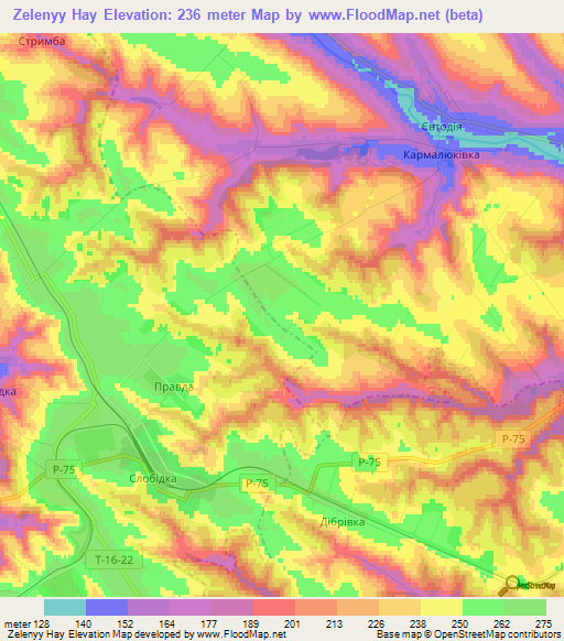 Zelenyy Hay,Ukraine Elevation Map