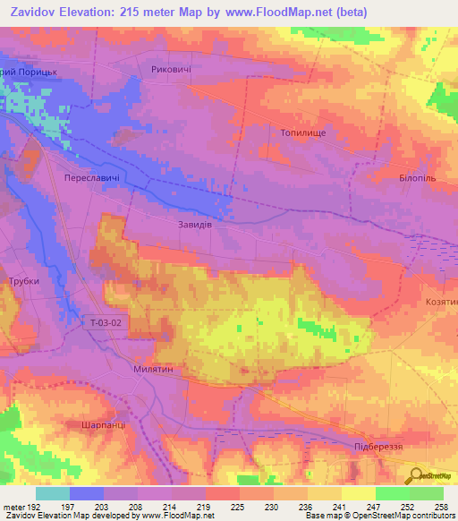 Zavidov,Ukraine Elevation Map
