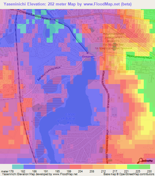 Yaseninichi,Ukraine Elevation Map