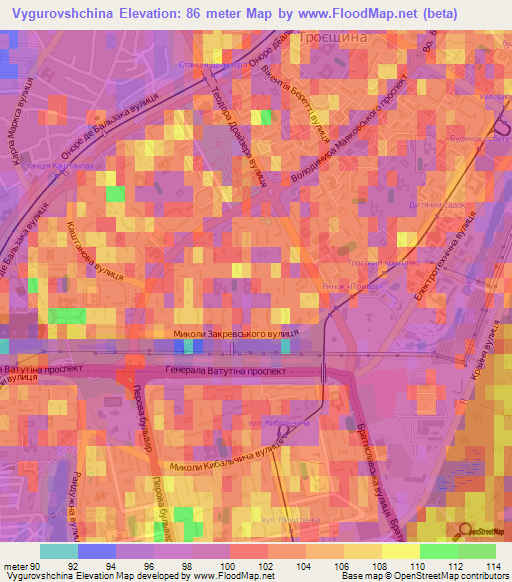 Vygurovshchina,Ukraine Elevation Map