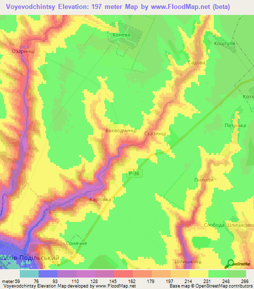 Voyevodchintsy,Ukraine Elevation Map
