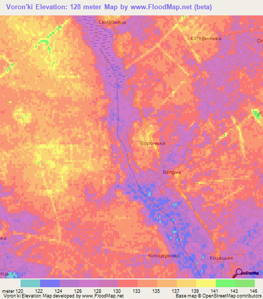 Voron'ki,Ukraine Elevation Map