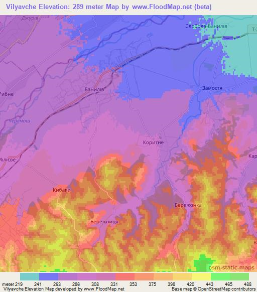 Vilyavche,Ukraine Elevation Map