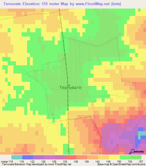 Ternuvate,Ukraine Elevation Map