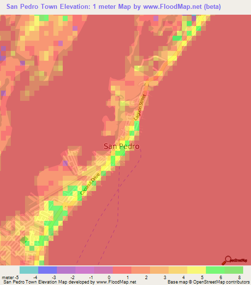 San Pedro Town,Belize Elevation Map