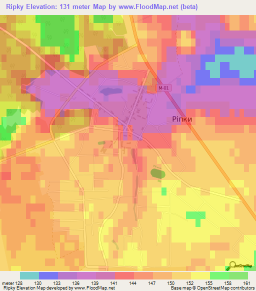Ripky,Ukraine Elevation Map