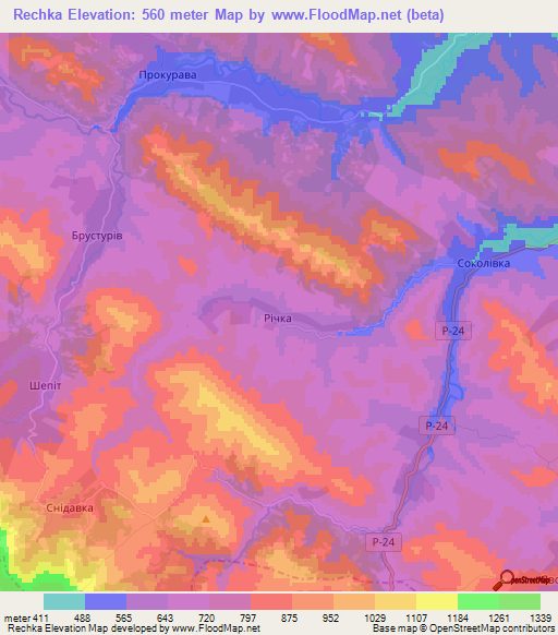 Rechka,Ukraine Elevation Map