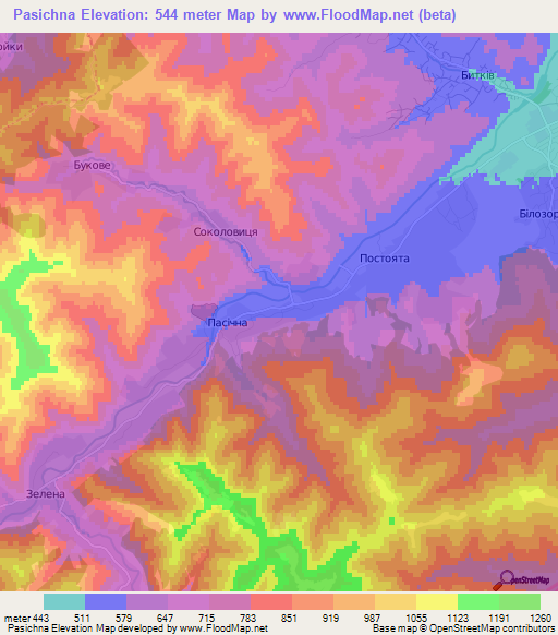 Pasichna,Ukraine Elevation Map
