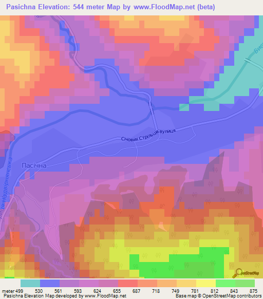 Pasichna,Ukraine Elevation Map