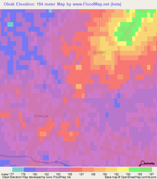 Olesk,Ukraine Elevation Map