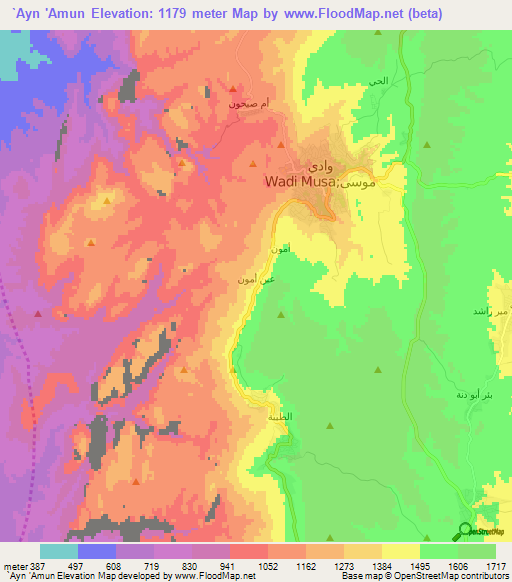 `Ayn 'Amun,Jordan Elevation Map