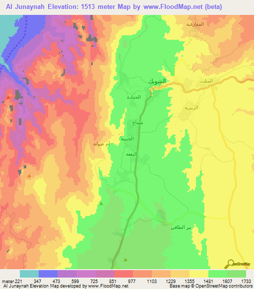 Al Junaynah,Jordan Elevation Map
