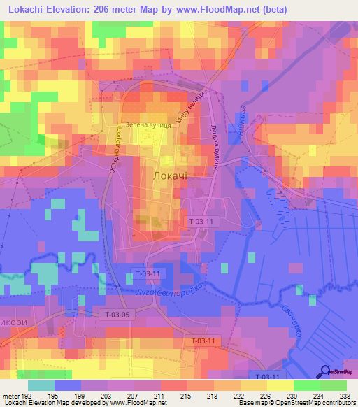 Lokachi,Ukraine Elevation Map