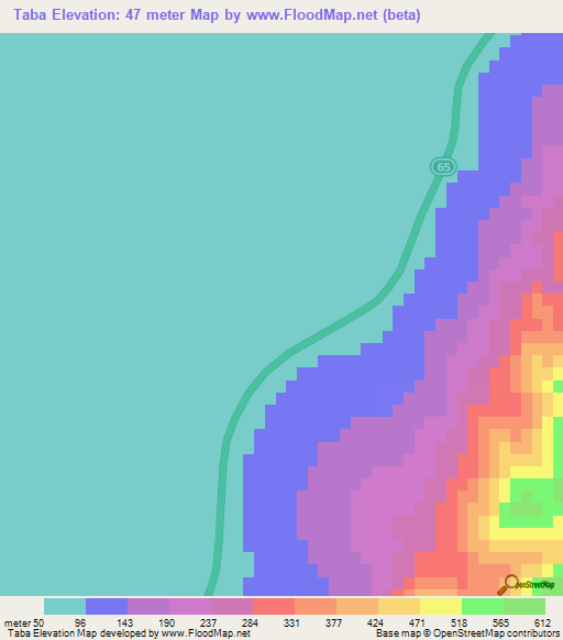 Taba,Jordan Elevation Map