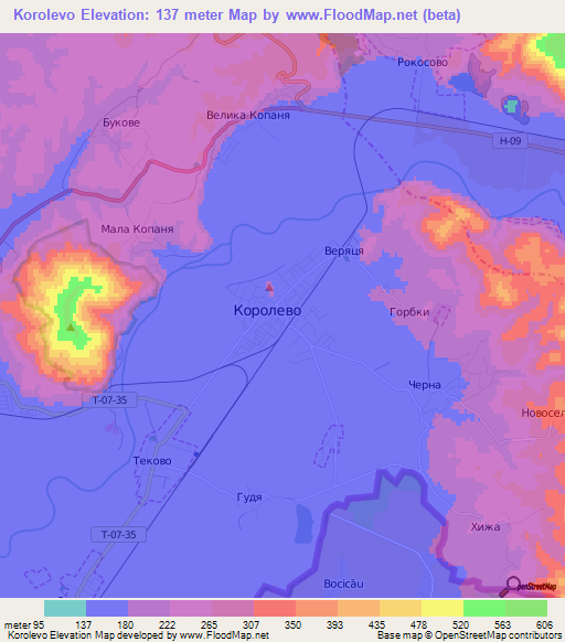 Korolevo,Ukraine Elevation Map