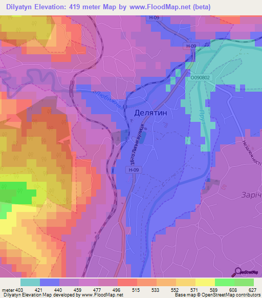 Dilyatyn,Ukraine Elevation Map