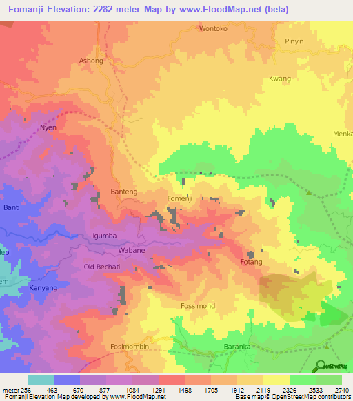 Fomanji,Cameroon Elevation Map