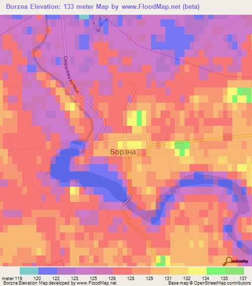 Borzna,Ukraine Elevation Map