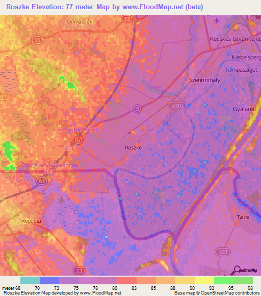 Roszke,Hungary Elevation Map