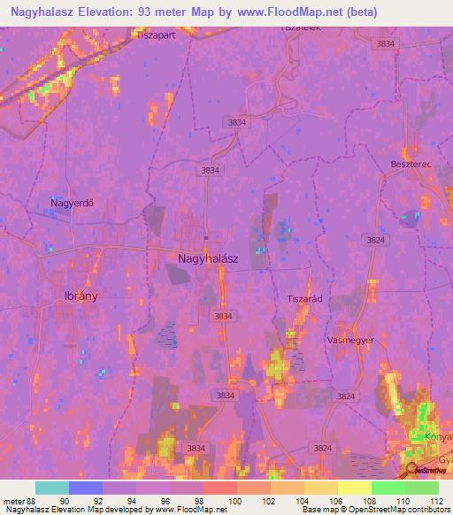 Nagyhalasz,Hungary Elevation Map