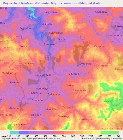 Voynezha,Bulgaria Elevation Map