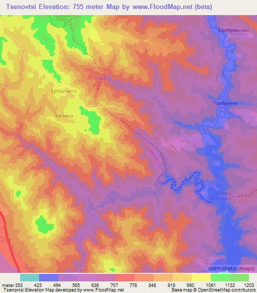 Tsenovtsi,Bulgaria Elevation Map