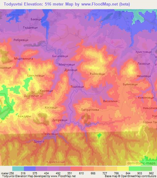 Todyuvtsi,Bulgaria Elevation Map