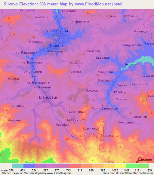 Slivovo,Bulgaria Elevation Map