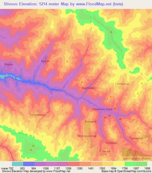 Slivovo,Bulgaria Elevation Map