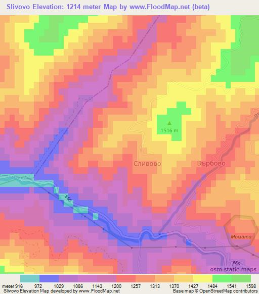 Slivovo,Bulgaria Elevation Map
