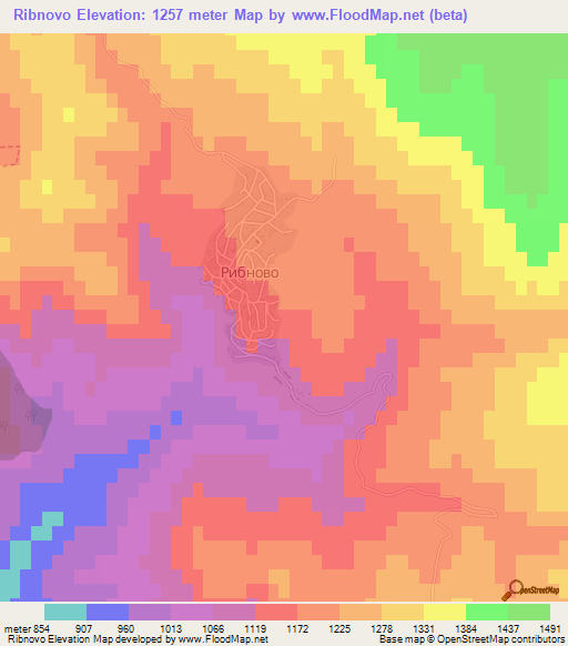 Ribnovo,Bulgaria Elevation Map