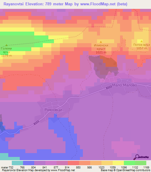 Rayanovtsi,Bulgaria Elevation Map