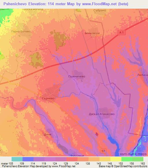 Pshenichevo,Bulgaria Elevation Map