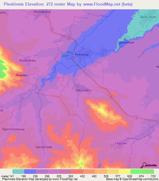 Pleshivets,Bulgaria Elevation Map