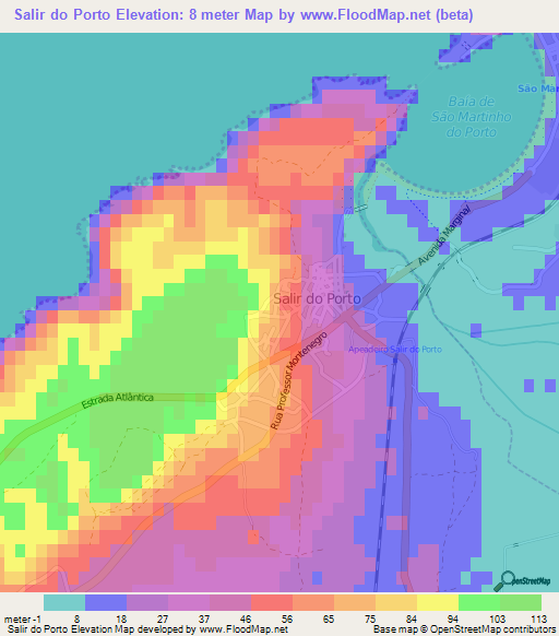Salir do Porto,Portugal Elevation Map