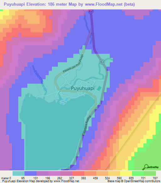 Puyuhuapi,Chile Elevation Map