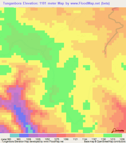 Tunganbora,Zimbabwe Elevation Map