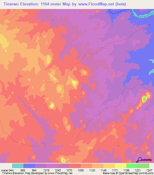 Tinarwo,Zimbabwe Elevation Map