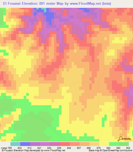 El Fouassi,Algeria Elevation Map