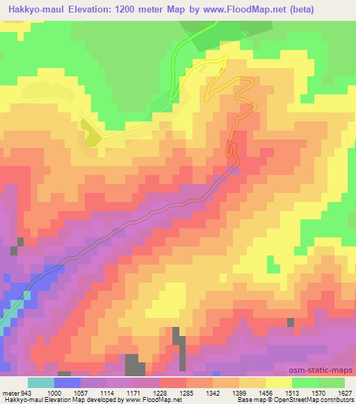 Hakkyo-maul,North Korea Elevation Map