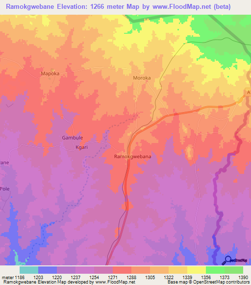 Ramokgwebane,Botswana Elevation Map