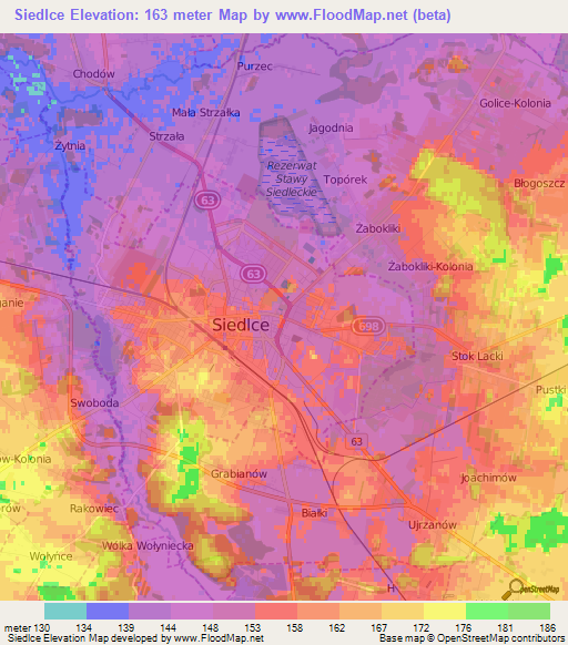 Siedlce,Poland Elevation Map