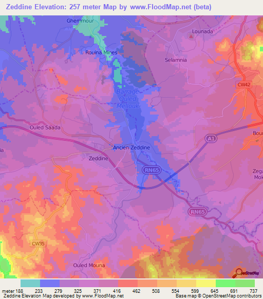 Zeddine,Algeria Elevation Map