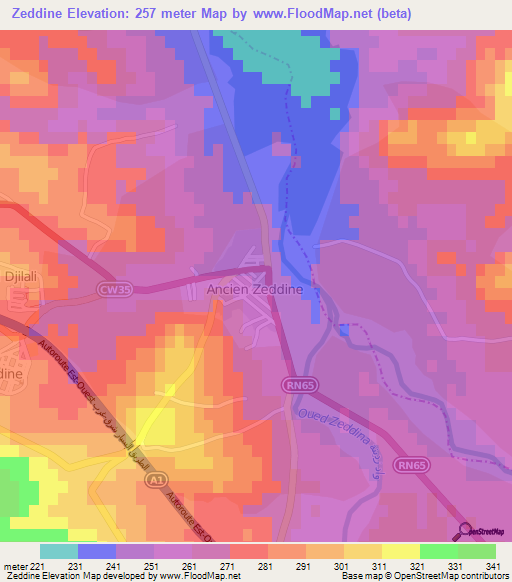 Zeddine,Algeria Elevation Map